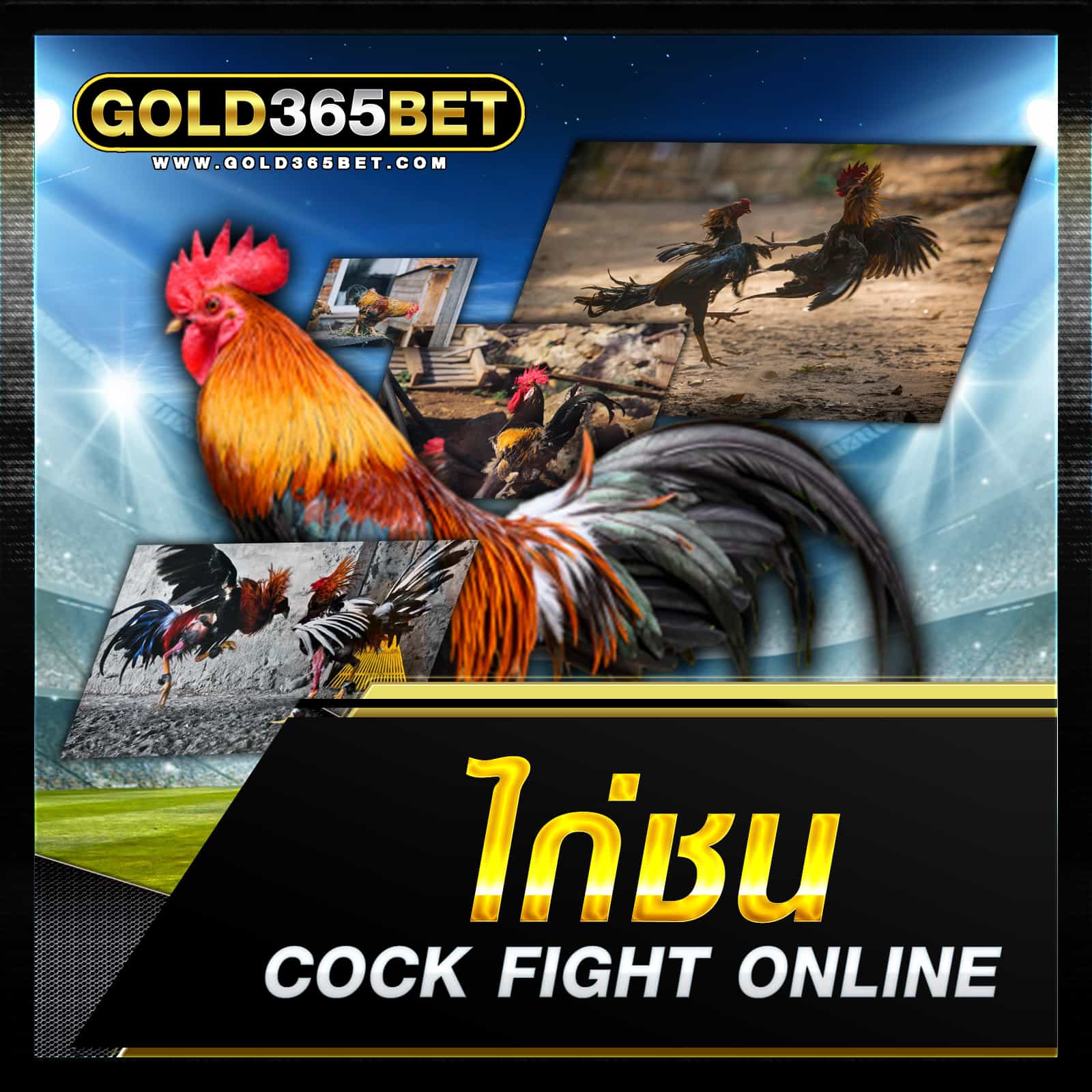 ไก่ชนออนไลน์-1