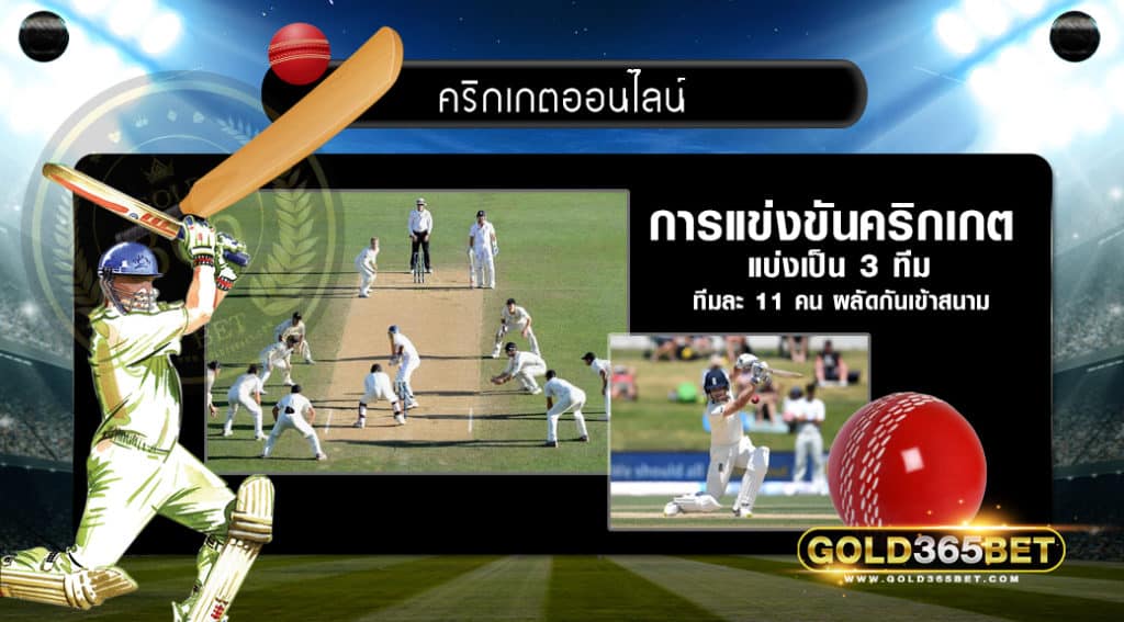 คริกเกต-00001